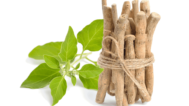 Unlocking the Power of Ashwagandha Tincture: A Deep Dive into Its from Crystal Health & Beauty