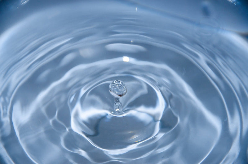 Tap Water VS Distilled Water