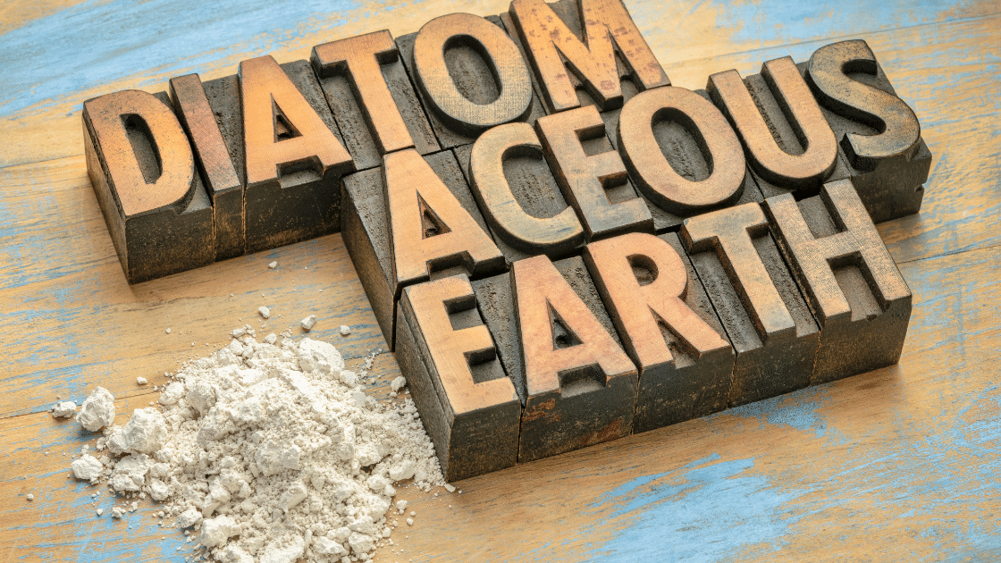 Benefits of Diatomaceous Earth from Crystal Health & Beauty