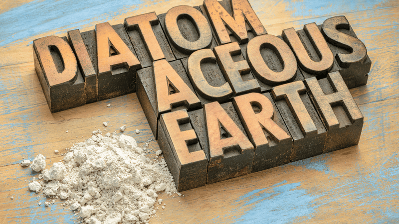 Benefits of Diatomaceous Earth from Crystal Health & Beauty