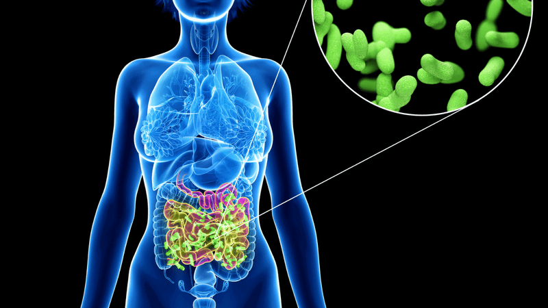 Minimize Gut Fermentation for SIBO Alleviation: Introducing the from Crystal Health & Beauty