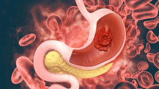 The Stomach & Digestion: A Holistic Wellbeing Guide