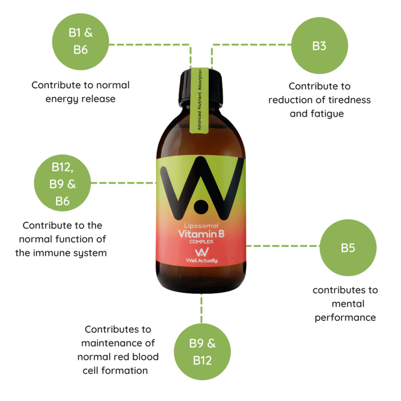 Liposomal Liquid Vitamin B Complex: Enhanced Absorption & Energy Support