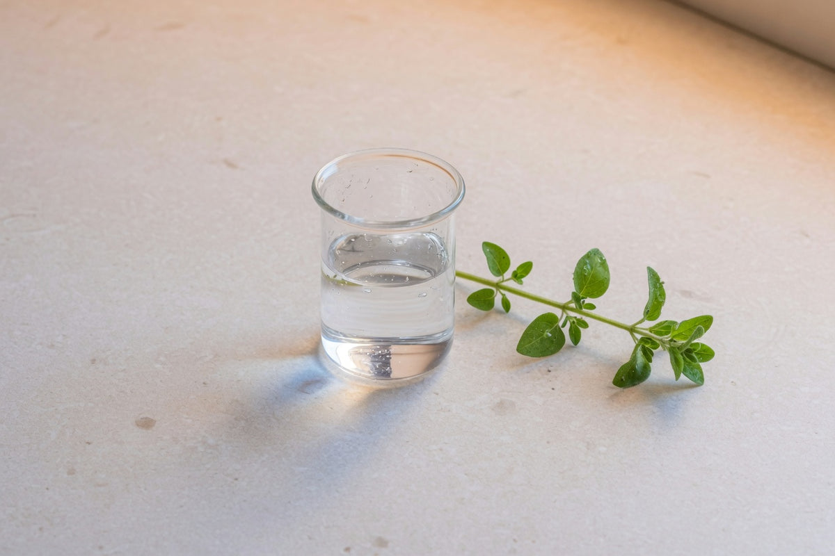 A glass dish of clear liquid beside a sprig of dried herb.