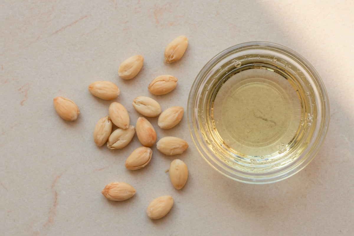 Apricot kernels beside a glass dish of pale gold oil.