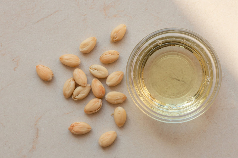 Apricot kernels beside a glass dish of pale gold oil.