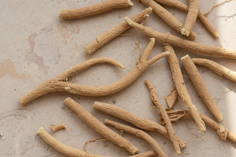 Dry tan ashwagandha roots on pale limestone.