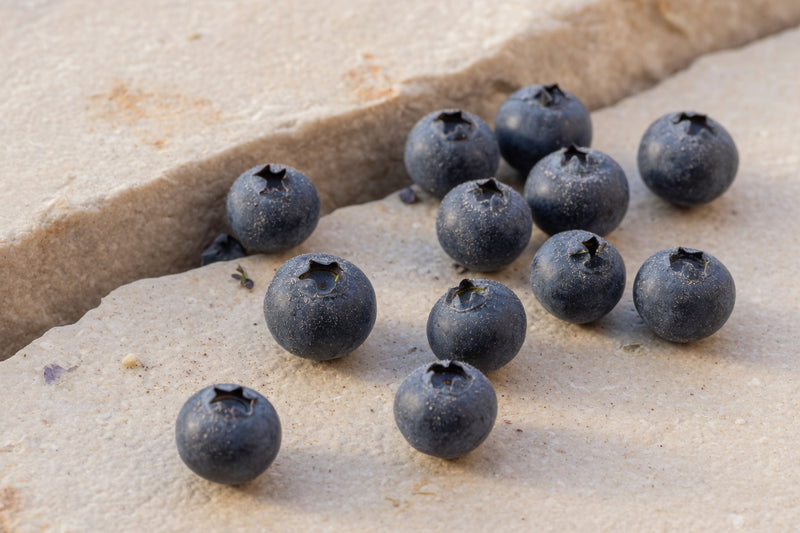 Small dusty dark blue bilberries on pale limestone.