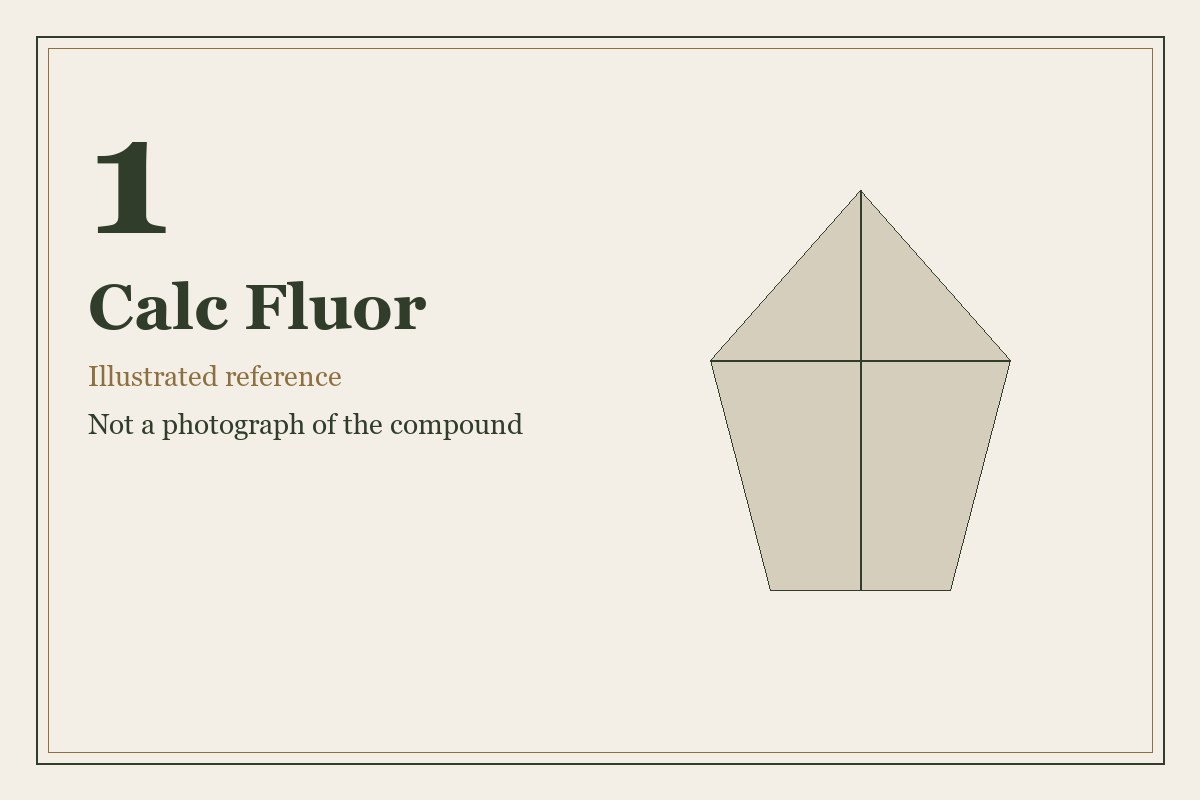 Illustrated mineral study for Calc Fluor, tissue salt number 1.