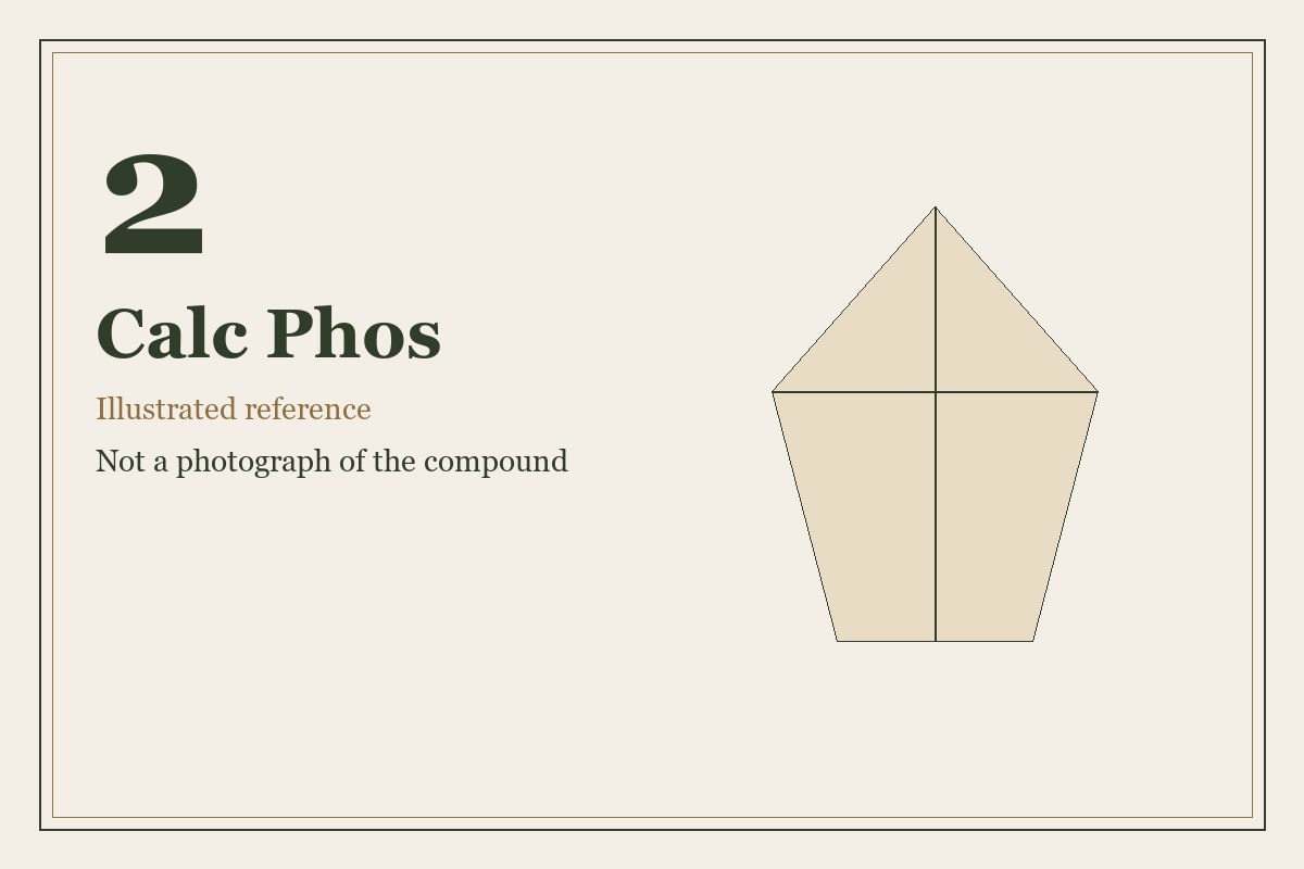 Illustrated mineral study for Calc Phos, tissue salt number 2.