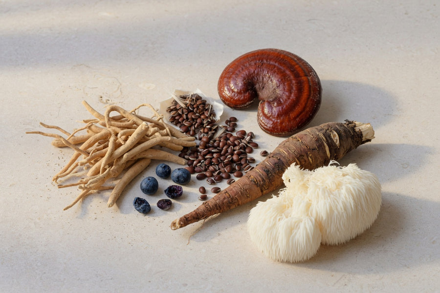 Ashwagandha root, bilberries, milk thistle seeds, reishi and lion’s mane on limestone.