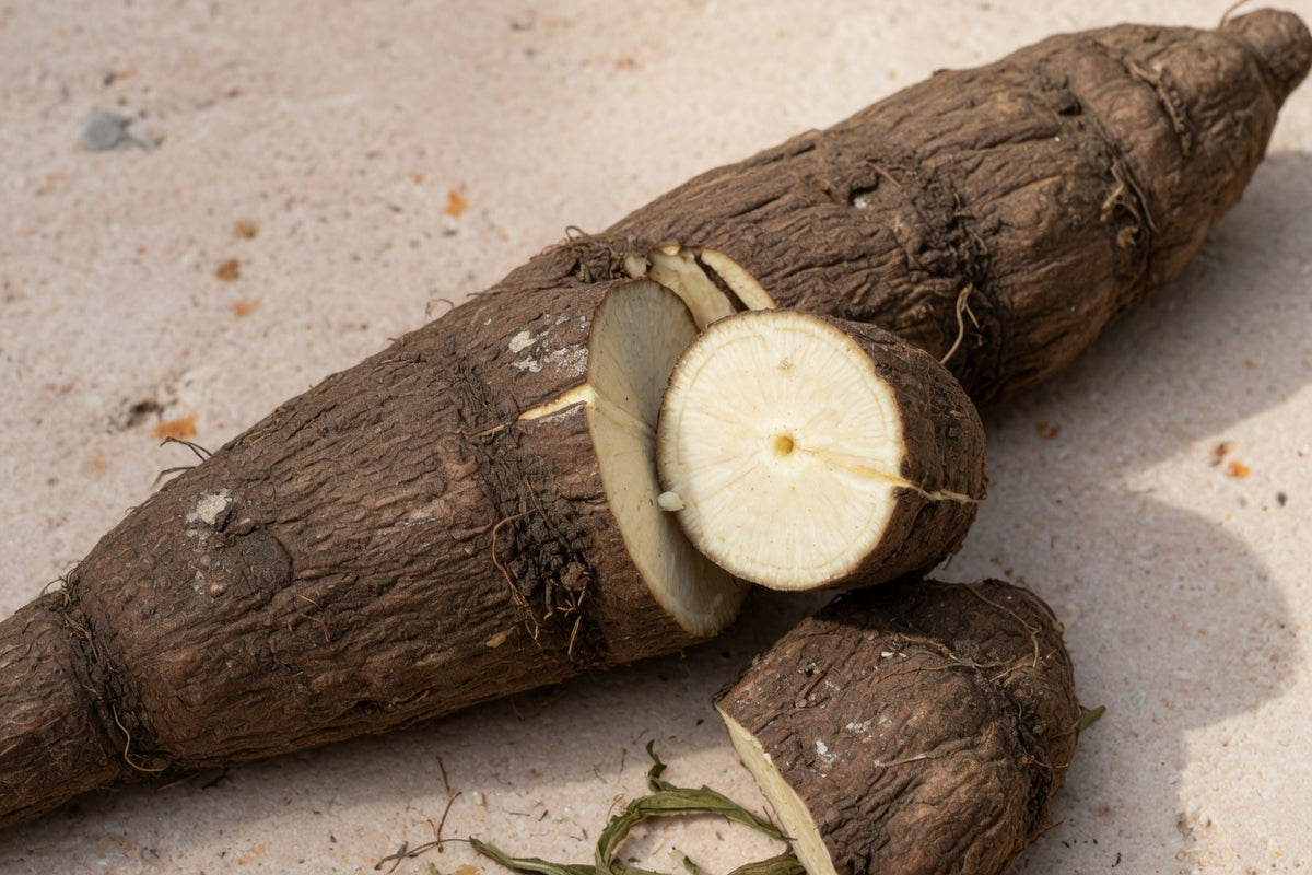 A wrinkled brown dandelion taproot on pale limestone.