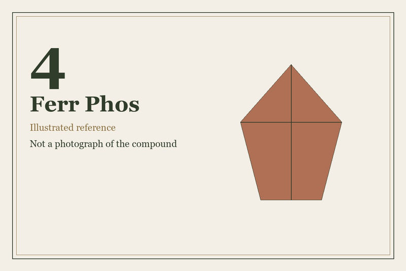 Illustrated mineral study for Ferr Phos, tissue salt number 4.