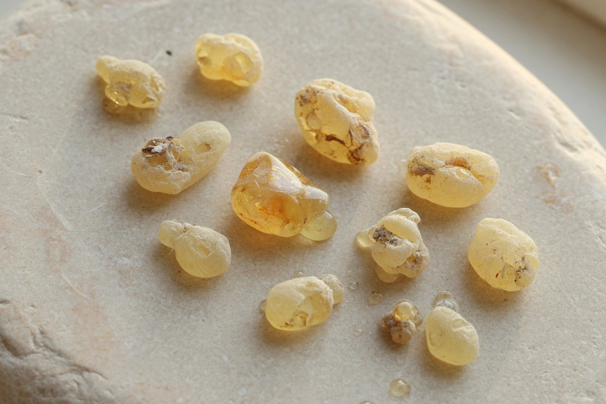 Pale gold frankincense resin tears on limestone.