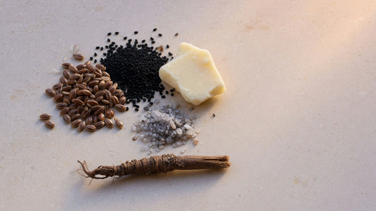 Milk thistle seeds, nigella seeds, cacao butter, grey sea salt and a dried root arranged on warm limestone.