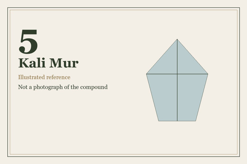 Illustrated mineral study for Kali Mur, tissue salt number 5.
