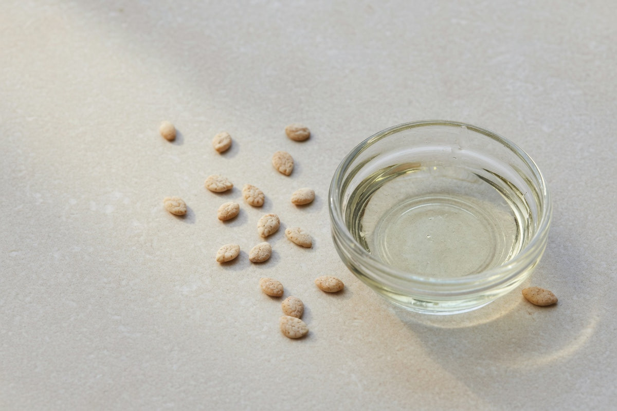 Tiny meadowfoam seeds beside a glass dish of very pale oil.