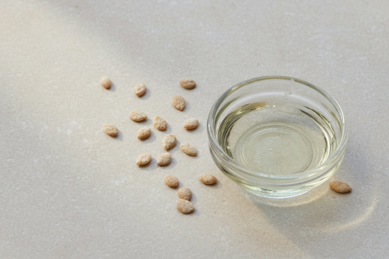 Tiny meadowfoam seeds beside a glass dish of very pale oil.