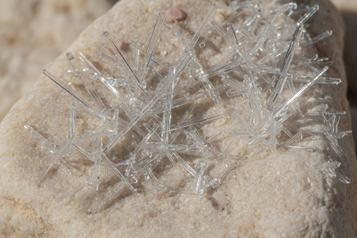 Clear needle-like MSM crystals on pale limestone.