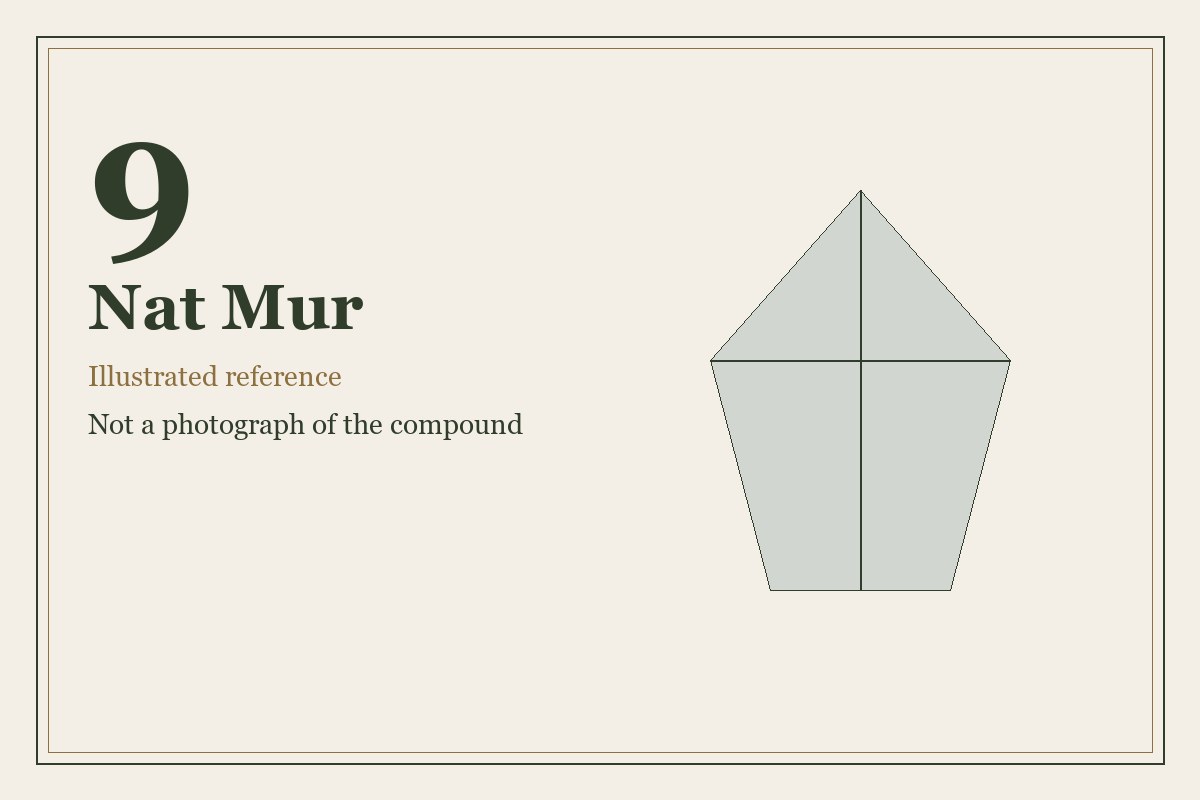 Illustrated mineral study for Nat Mur, tissue salt number 9.