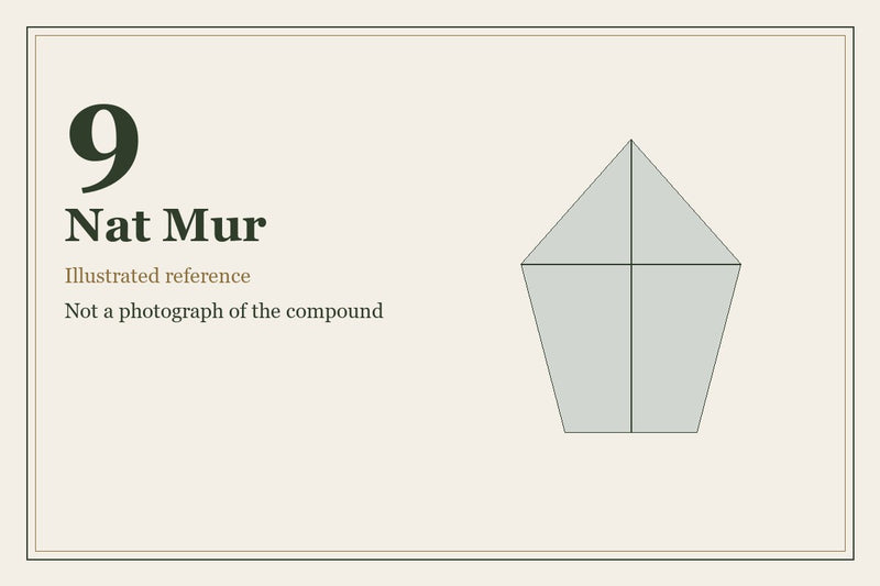 Illustrated mineral study for Nat Mur, tissue salt number 9.
