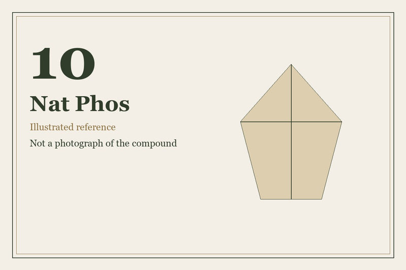 Illustrated mineral study for Nat Phos, tissue salt number 10.