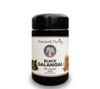 Black Galangal
