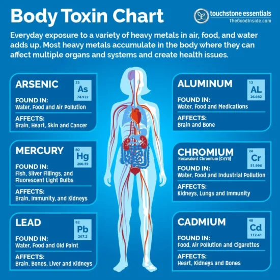 Zeolite Detox Pack - Image 16