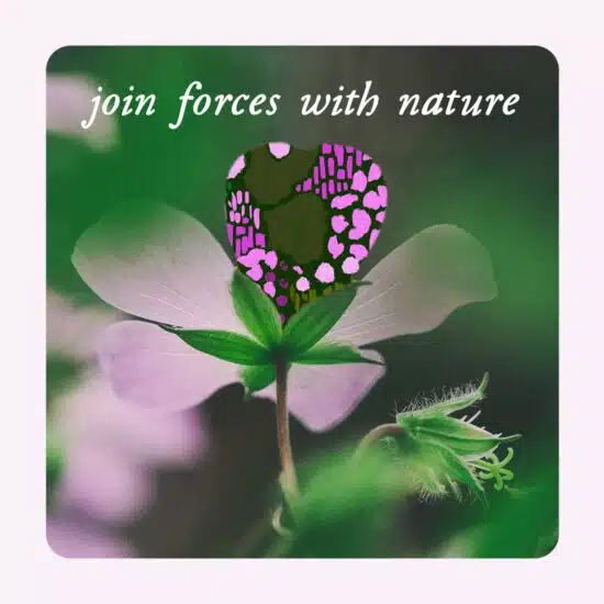 Revive probiotic - Image 7
