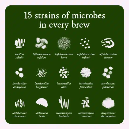 Sustain probiotic - Image 3